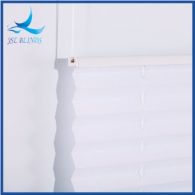 Top Down Bottom Up Pleated Blinds