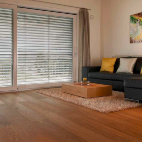 Exterior Shades