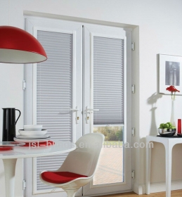 Integral Venetian Blinds