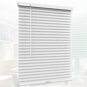 cordless mini blind